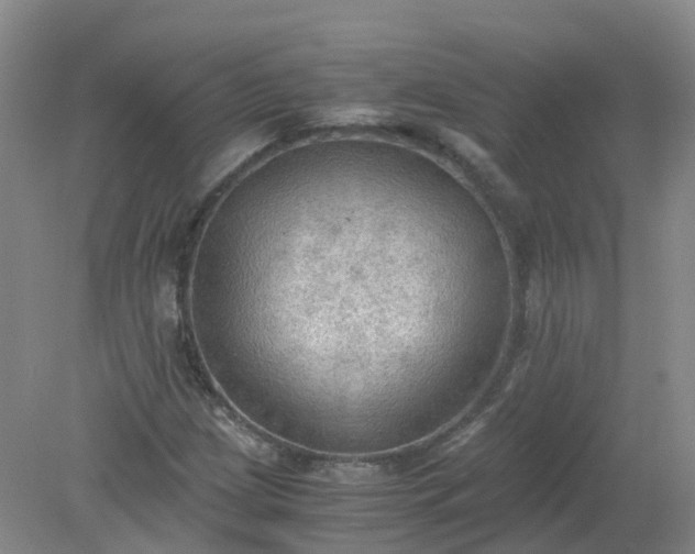 X0000079341209200612011925