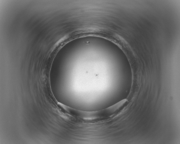 X0000079341210200612011925