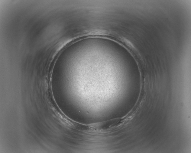 X0000079341212200612011925