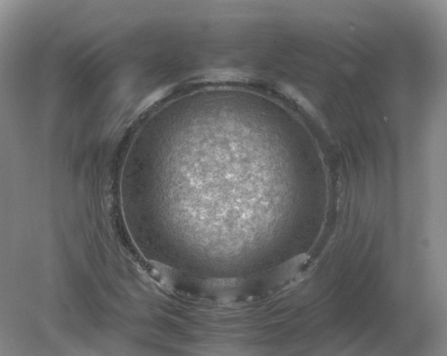 X0000079341213200612011925