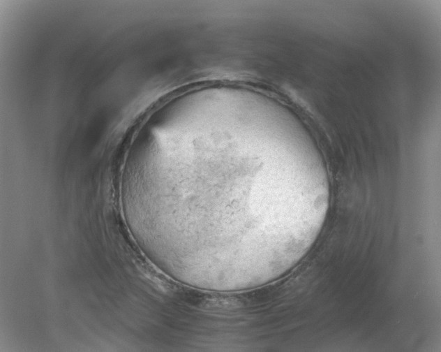 X0000079341215200612011925