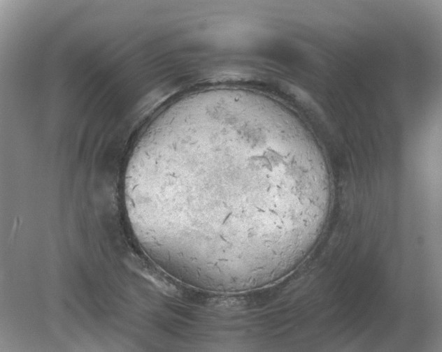 X0000079341217200612011925