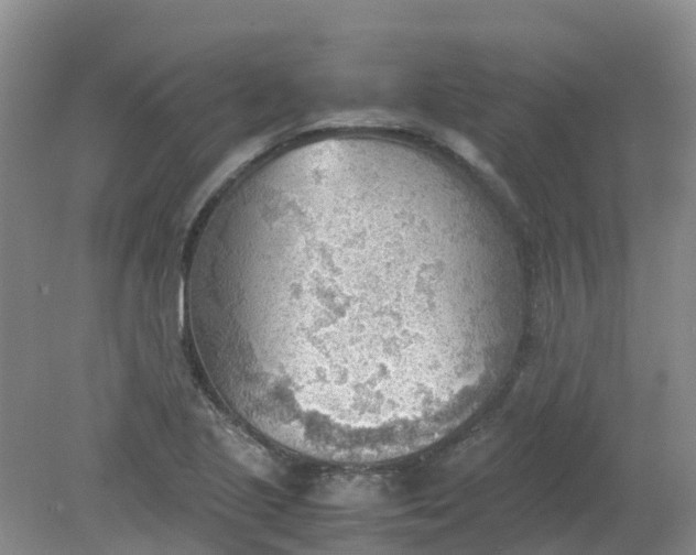 X0000079341221200612011925