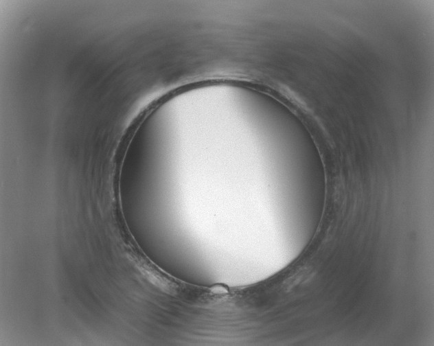 X0000079341222200612011925