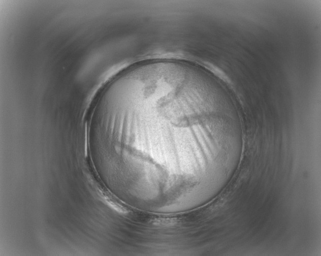 X0000079341223200612011925