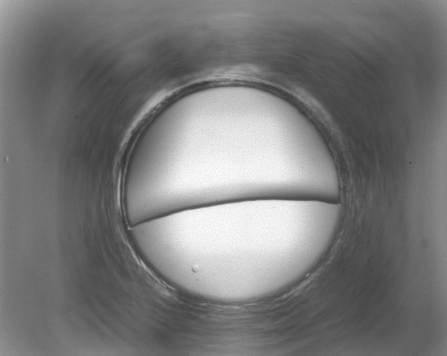 X0000079341224200612011925