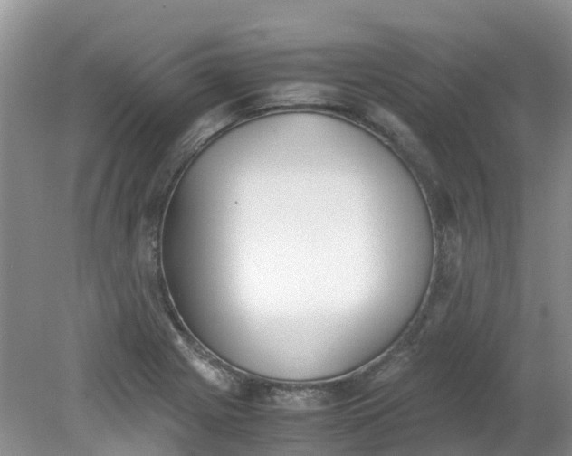 X0000079341225200612011925