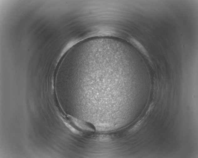 X0000079341226200612011925