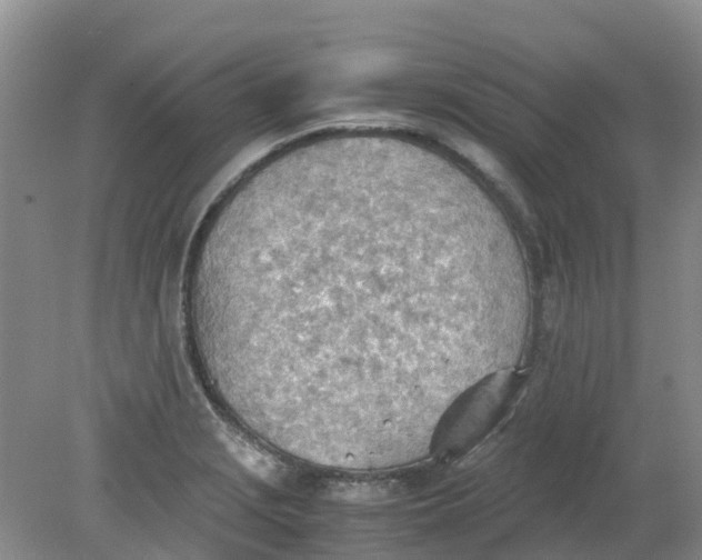 X0000079341229200612011925