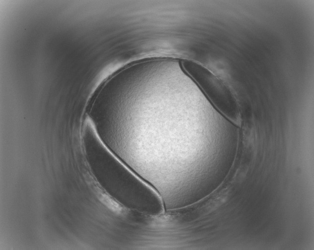 X0000079341230200612011925