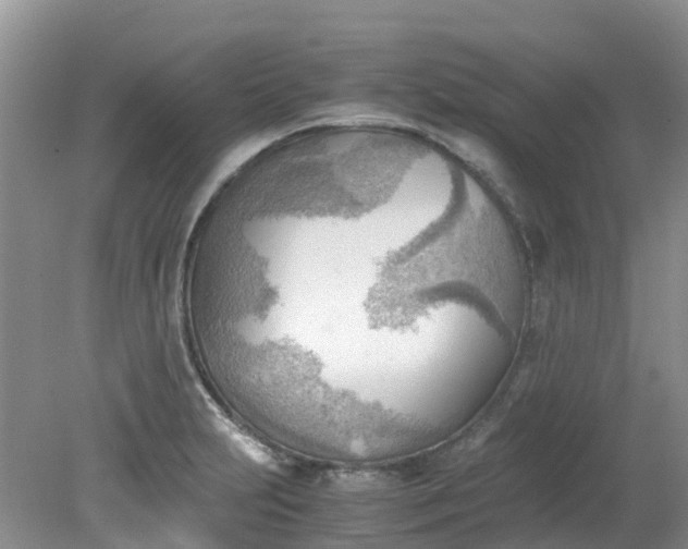 X0000079341231200612011925