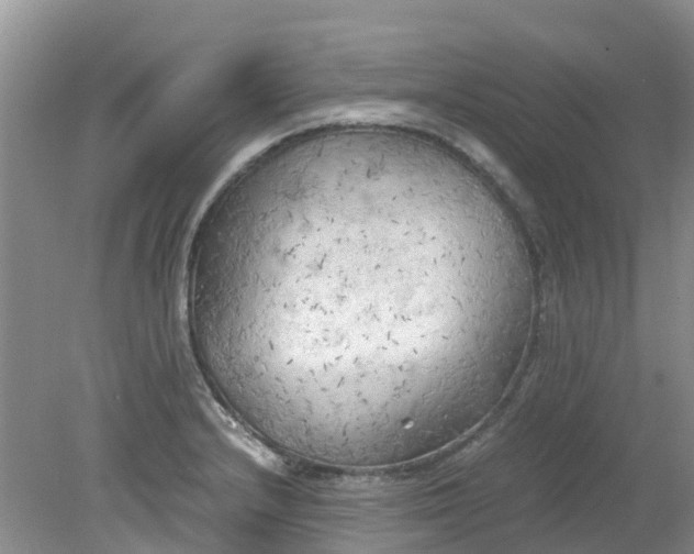 X0000079341232200612011925