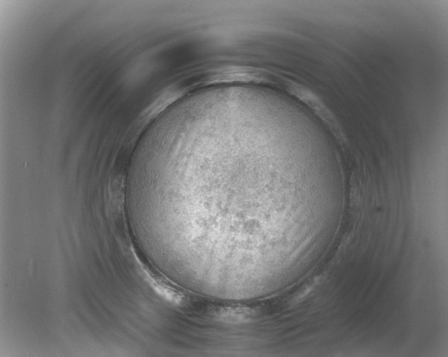 X0000079341233200612011925