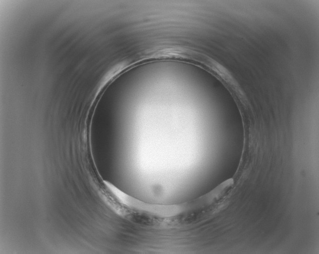 X0000079341234200612011925