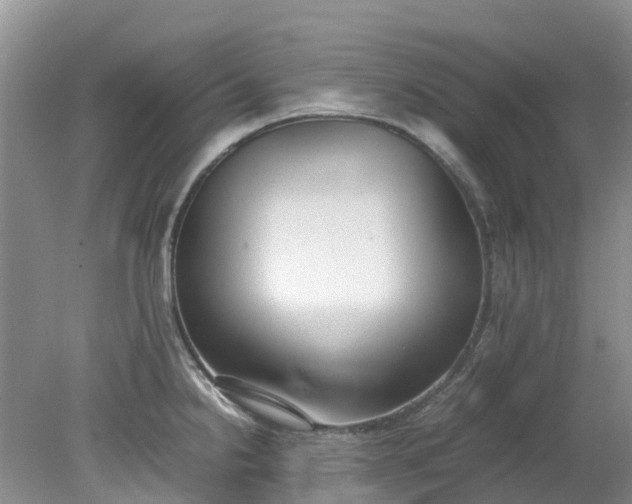 X0000079341238200612011925