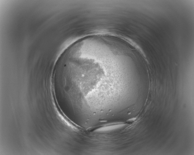 X0000079341239200612011925