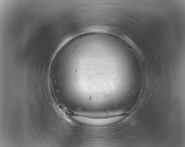 X0000079341240200612011925