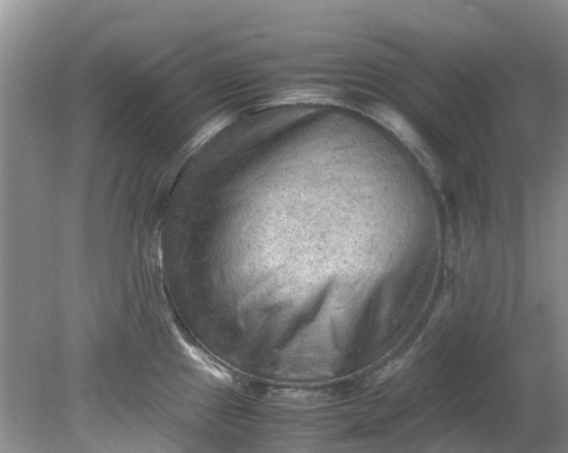 X0000079341241200612011925