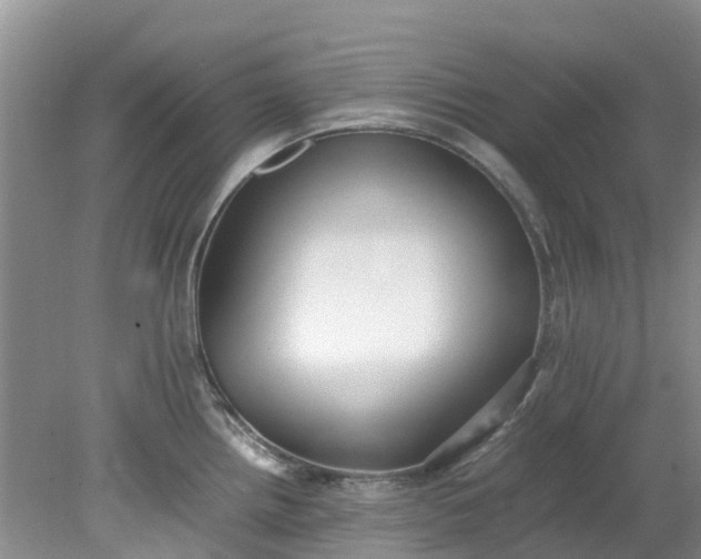 X0000079341242200612011925