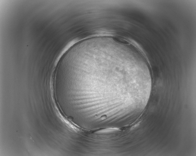 X0000079341243200612011925