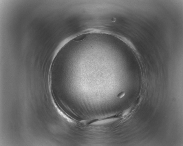 X0000079341247200612011926