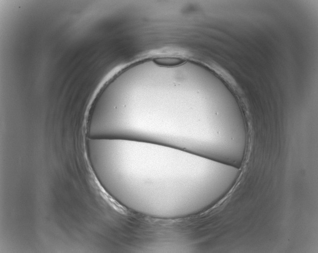 X0000079341248200612011926