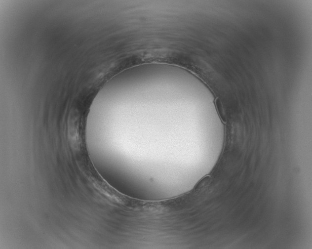 X0000079341250200612011925