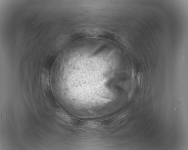 X0000079341251200612011925