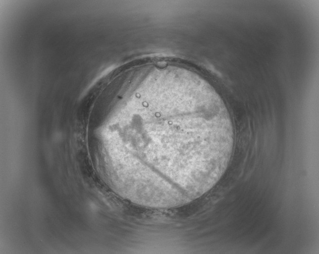 X0000079341255200612011925