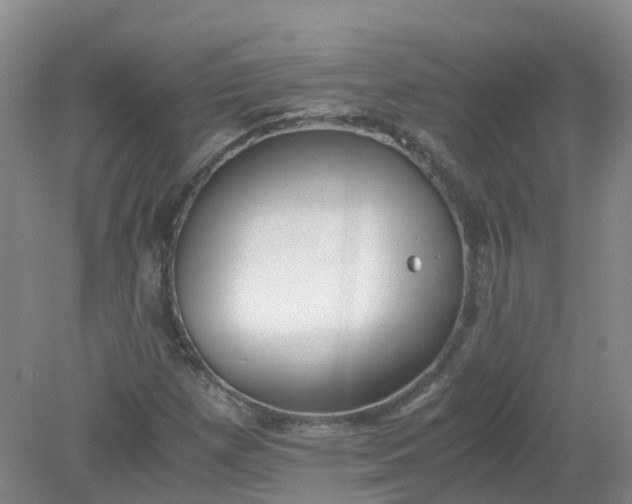 X0000079341257200612011925