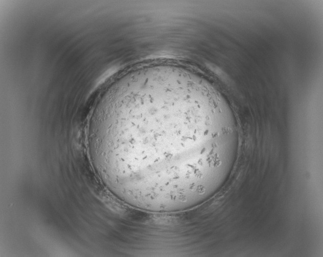 X0000079341258200612011925