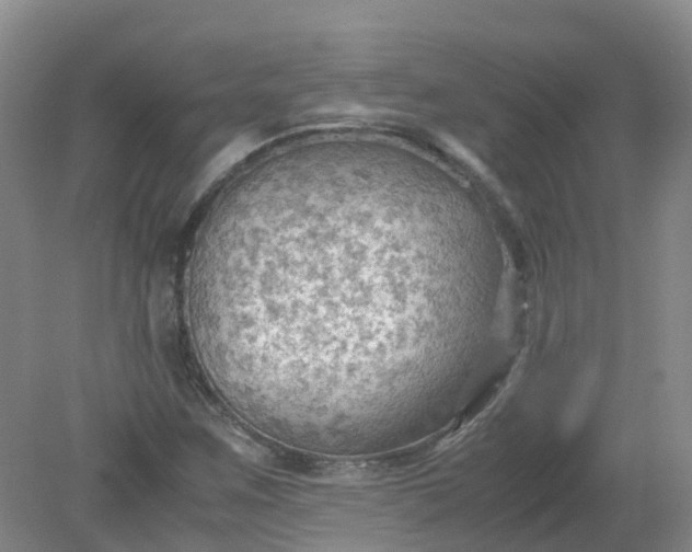 X0000079341259200612011925