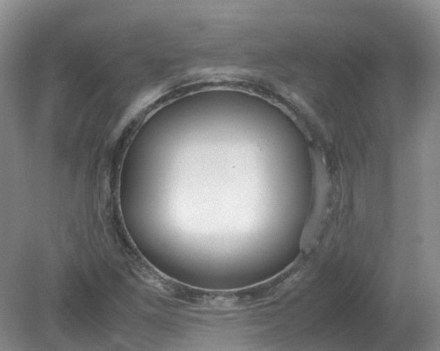 X0000079341261200612011925