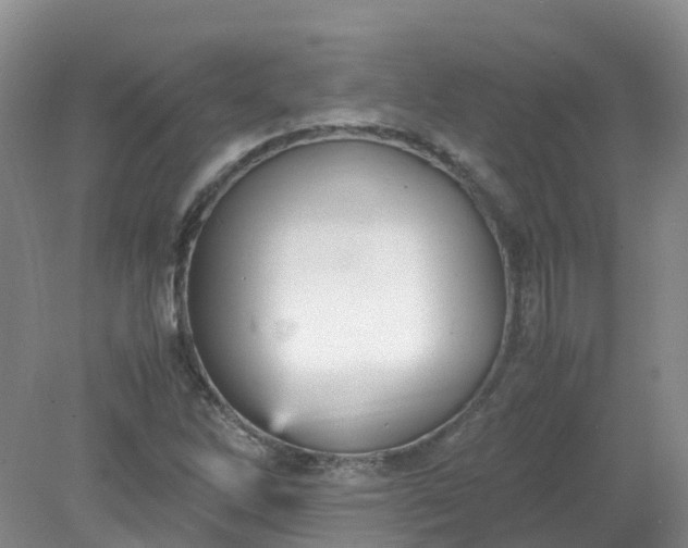 X0000079341262200612011925