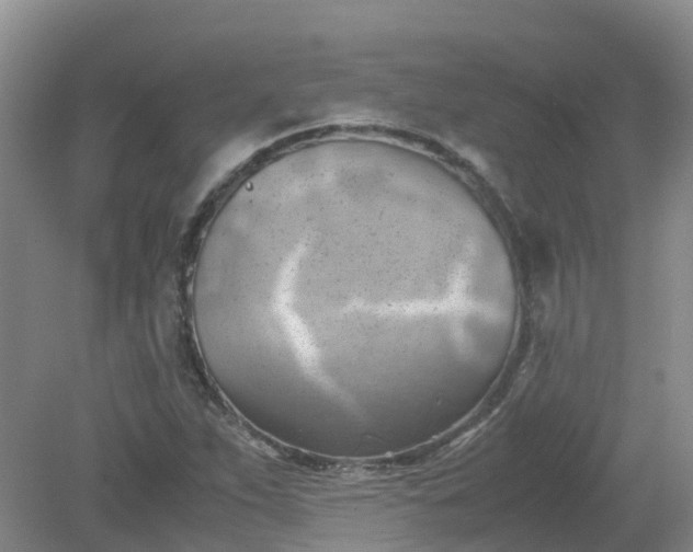 X0000079341263200612011925