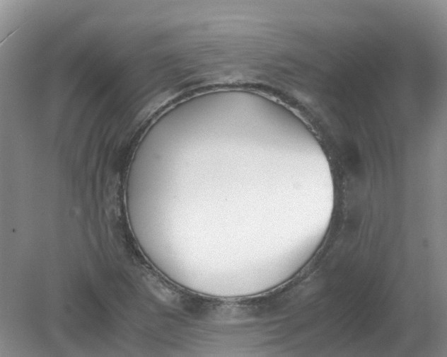 X0000079341265200612011924