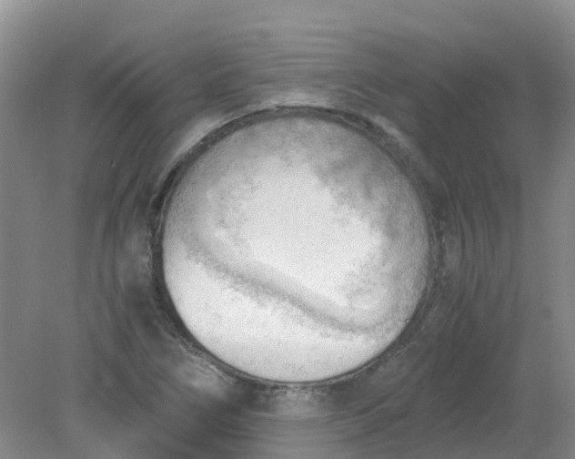 X0000079341266200612011924