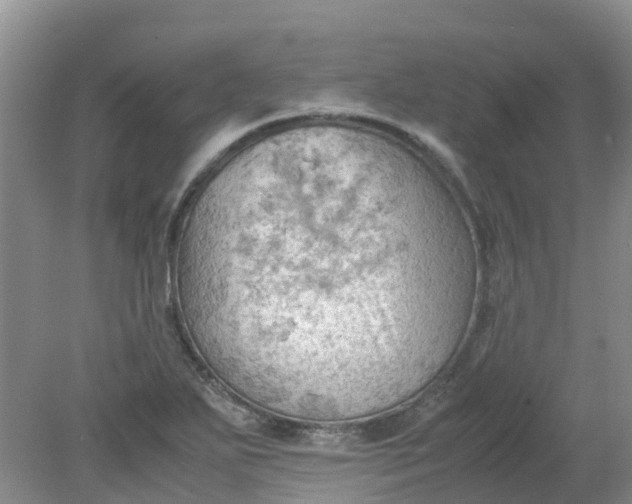 X0000079341271200612011924