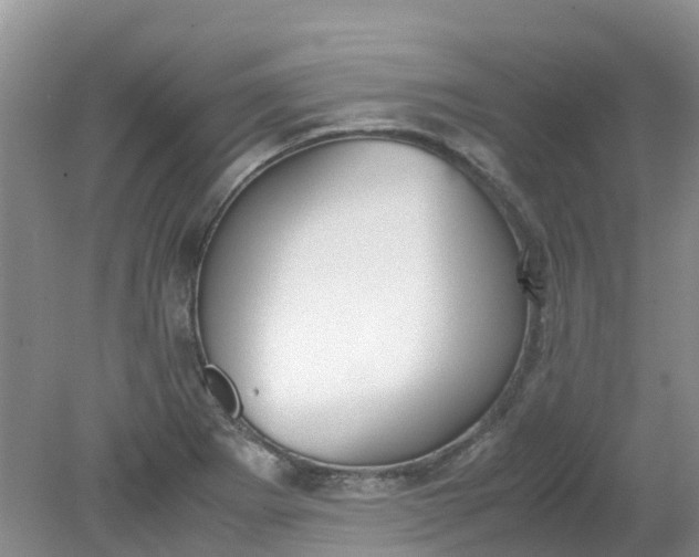 X0000079341273200612011924