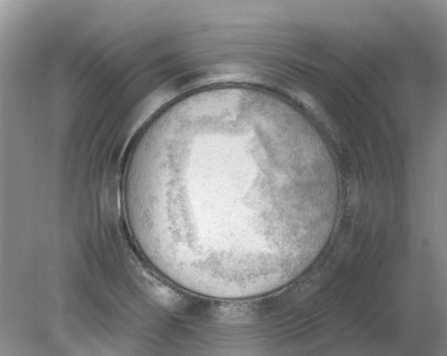 X0000079341274200612011924