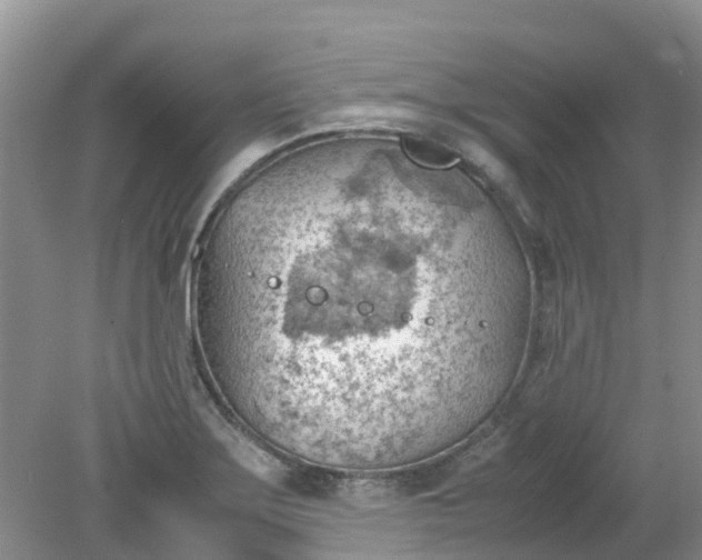 X0000079341275200612011924