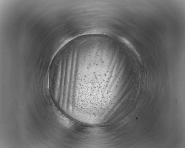 X0000079341276200612011924