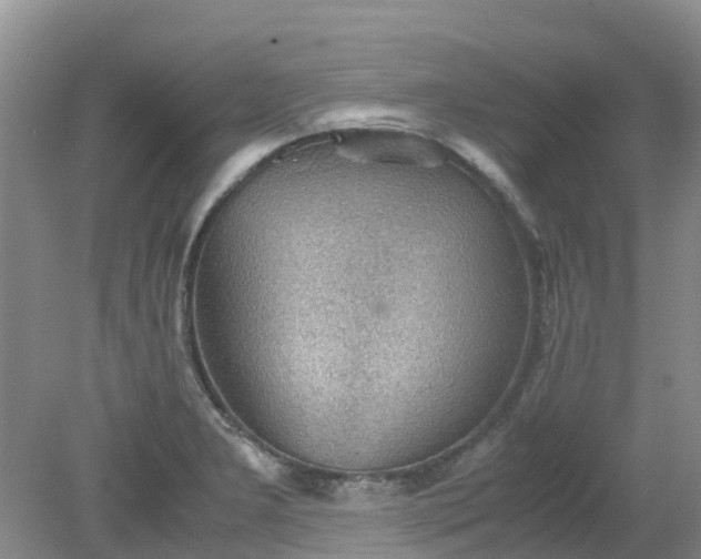 X0000079341277200612011924