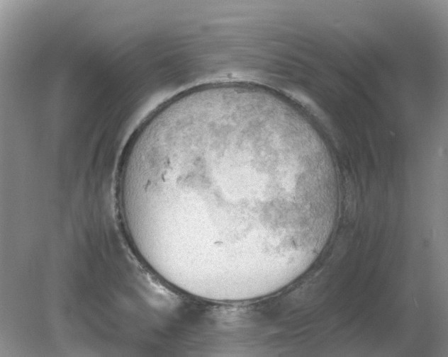 X0000079341278200612011924