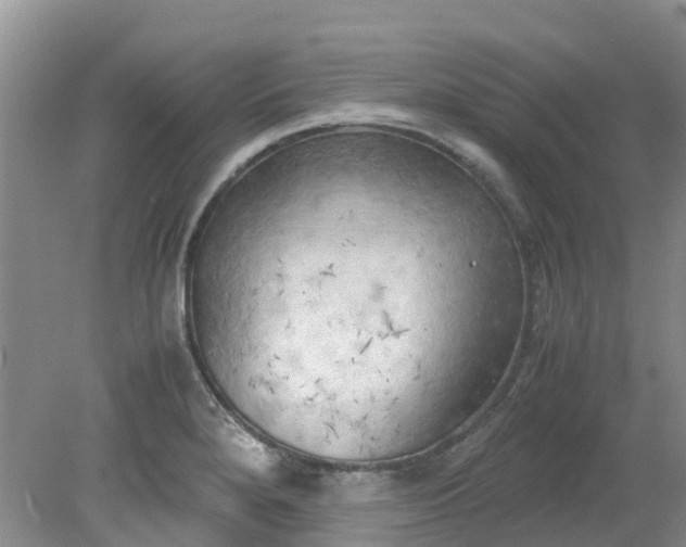 X0000079341280200612011924