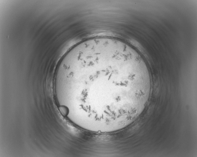 X0000079341282200612011924