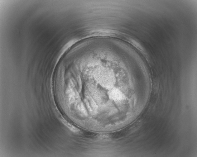 X0000079341283200612011924