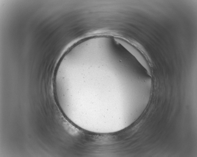 X0000079341288200612011924