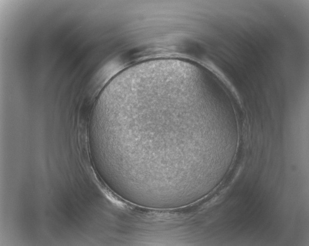 X0000079341289200612011924