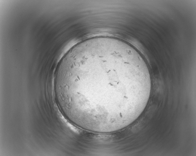 X0000079341290200612011924